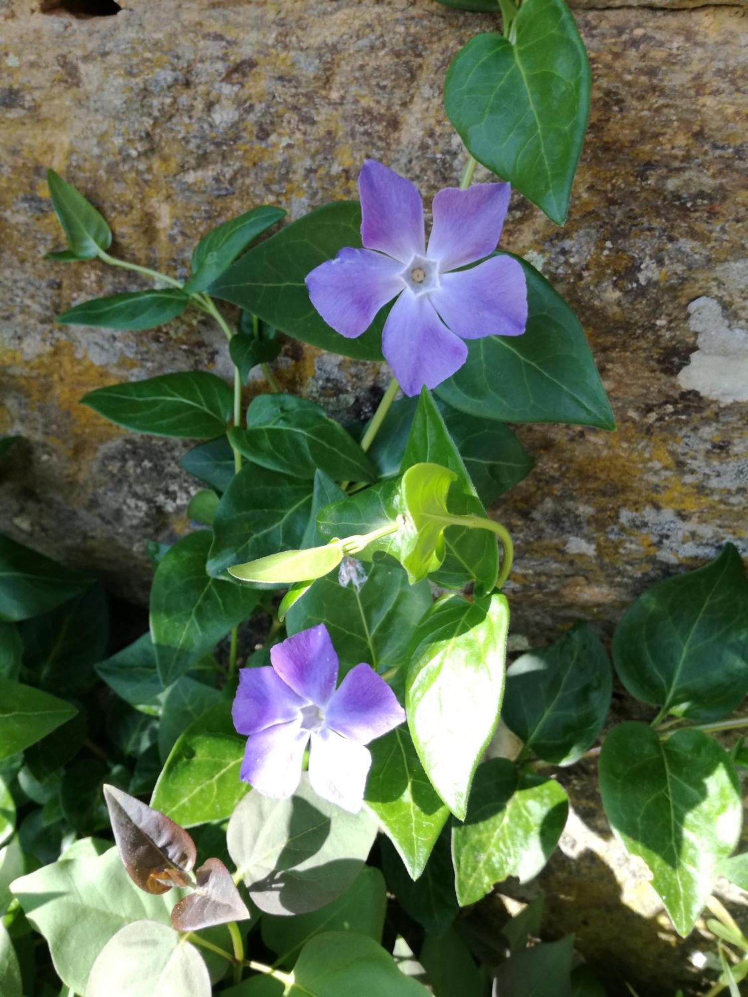 La Posada De Pedrazales ภายนอก รูปภาพ