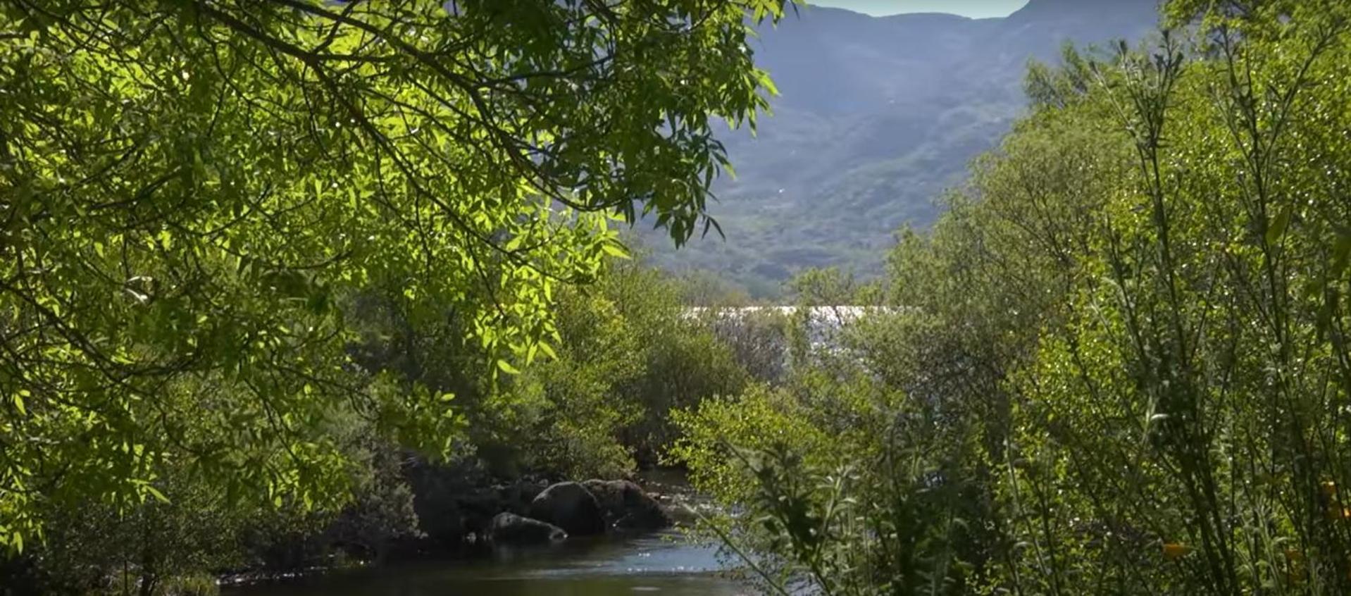 La Posada De Pedrazales ภายนอก รูปภาพ